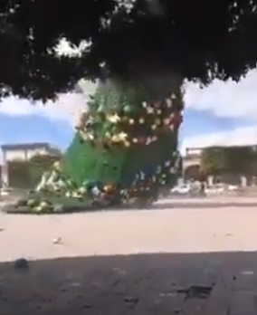 Cae árbol de navidad gigante
