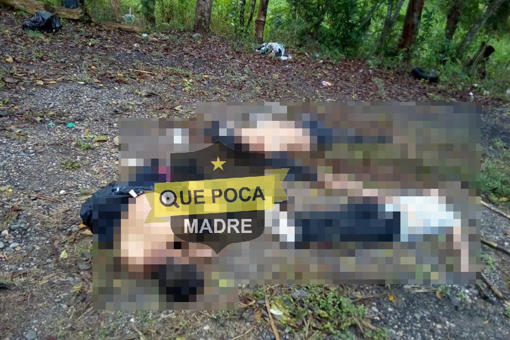 Localizan a tres hombres ejecutados en Veracruz.