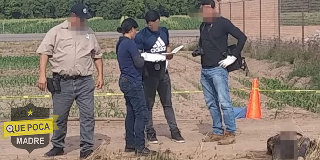 Un cadáver flotaba en un canal de riego de Novolato.