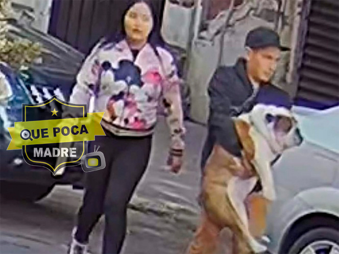 Capturan a “robaperros” que se llevaron a un Bulldog en CDMX