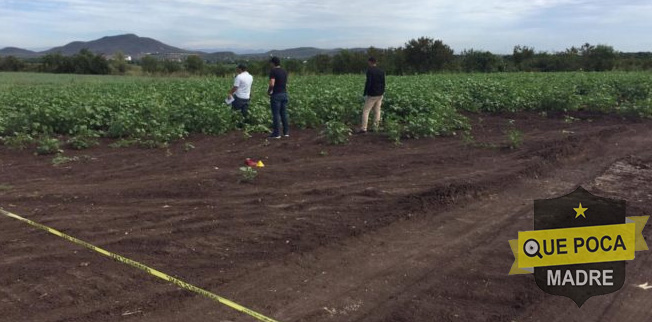 Asesinan a un hombre en unos campos de cultivo en Culiacán.