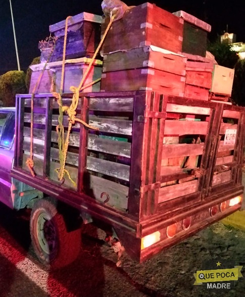 Recuperan cajas de abejas robadas en Tlaxcala.