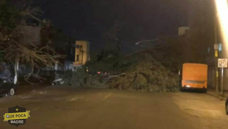 Fuertes vientos dejan varios daños materiales en San Luis Potosí.