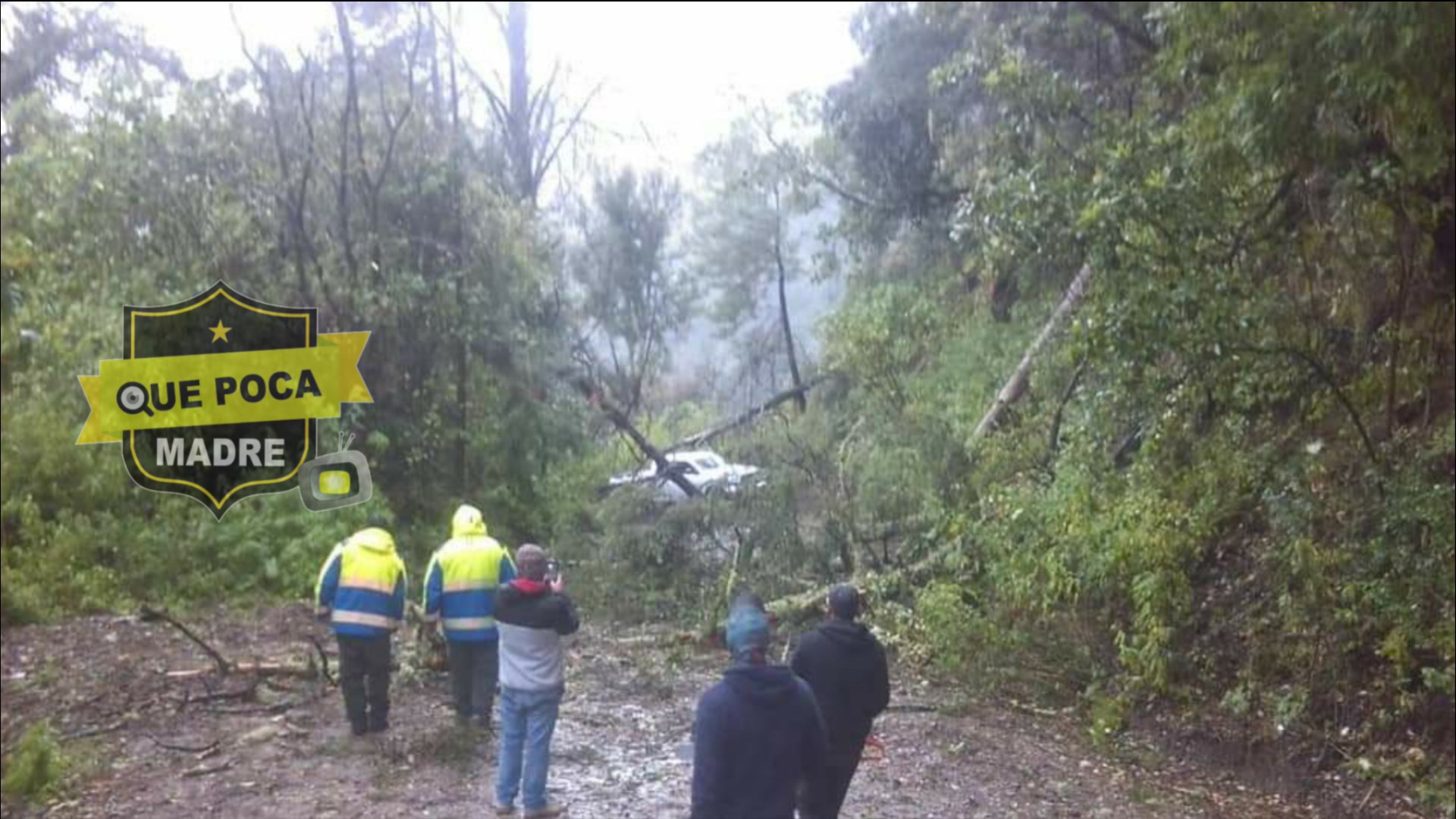 Por precaución, el Parque Nacional Nevado de Colima permanecerá cerrado.