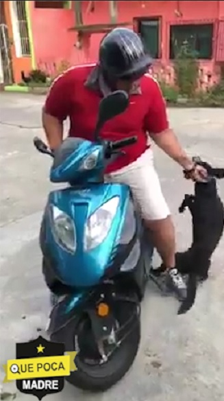 Sujeto en moto se lleva perrito para sacrificarlo, por atravesarse en su camino en Veracruz.