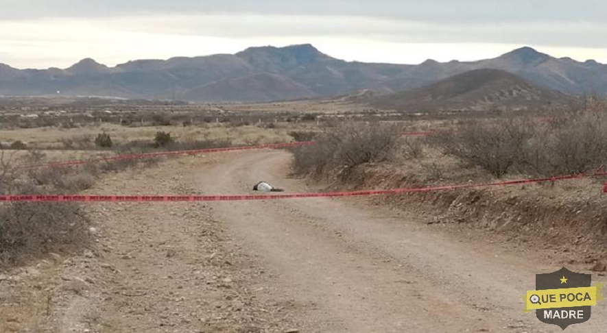 Encuentran cadáver de un joven en Chihuahua.