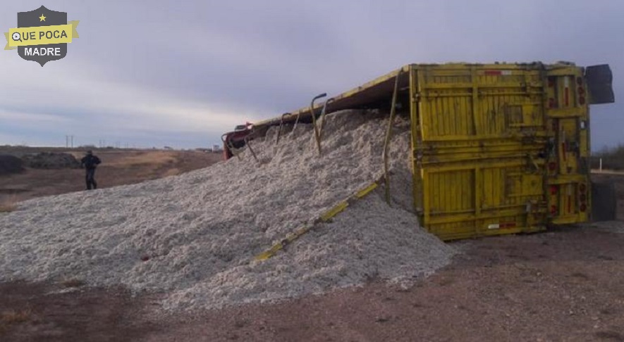 Vuelca camión con semilla de algodón en Chihuahua.