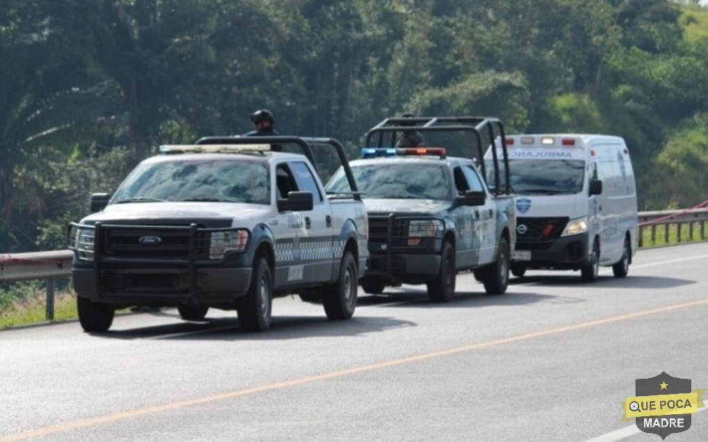 Encuentran a dos hombres muertos en Veracruz.