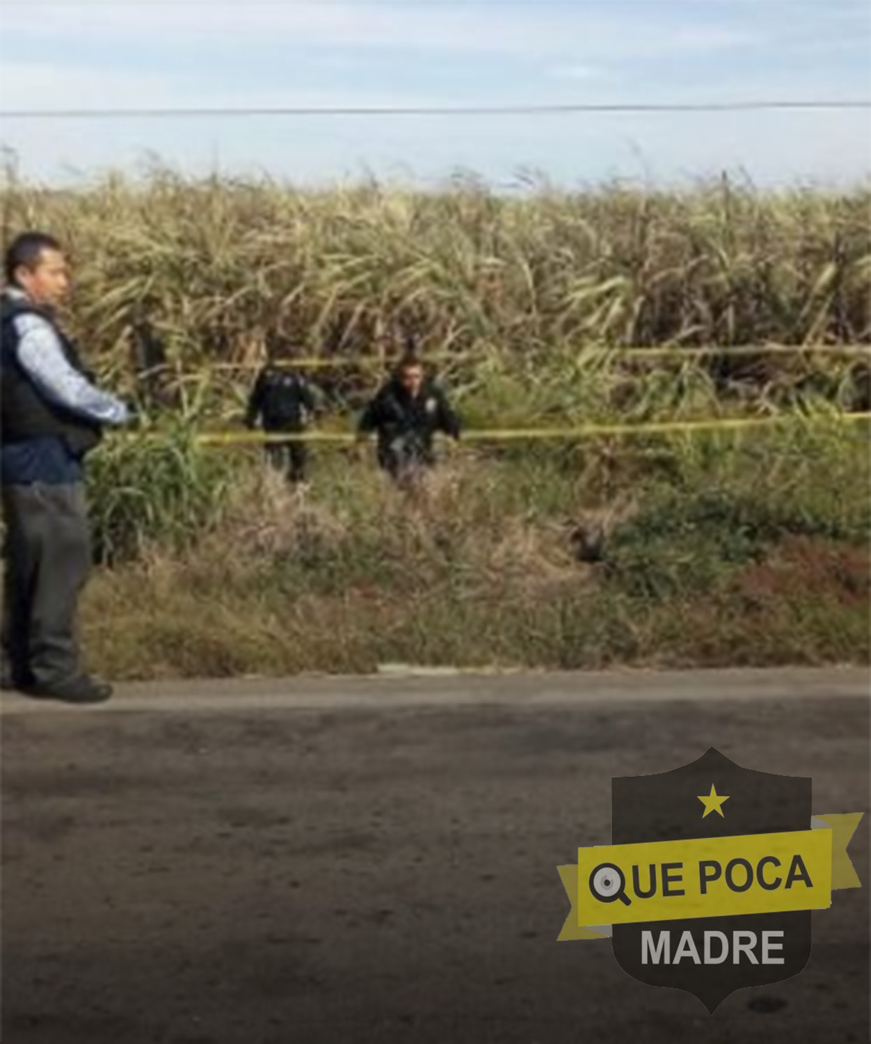 Campesino encuentra cuerpo calcinado en su sembradío de caña en Champotón.