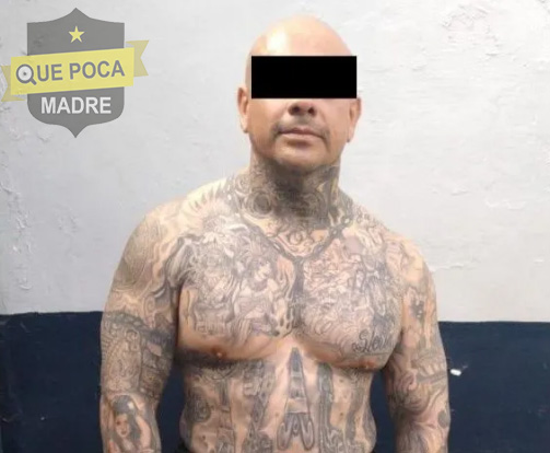 3 delincuentes internacionales fueron detenidos en Tijuana.