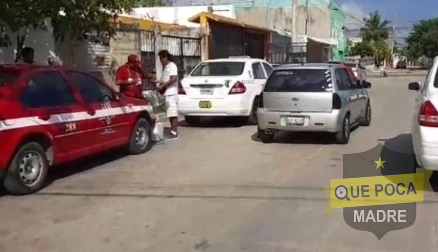 Varios taxistas verdes persiguen a uno rojo hasta su domicilio en Isla Mujeres.