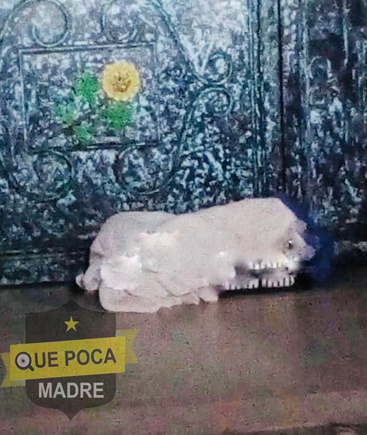 Abandonan a bebé en entrada de iglesia de Cozumel.