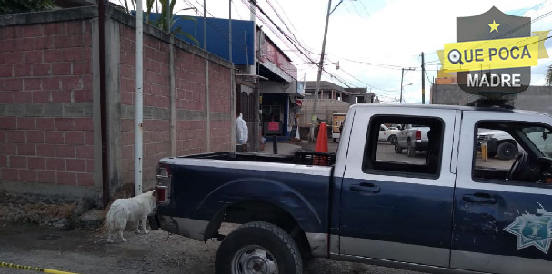 Joven mata a su tía por robarle dinero en Cuernavaca.