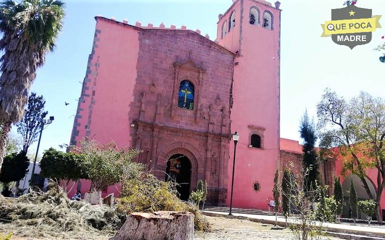 Reportan tala de pinos en iglesia de Hidalgo.