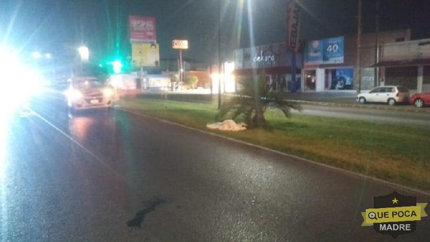 Taxista atropella y mata a señor de la tercera edad en Tamaulipas.