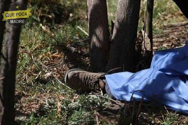 Muere hombre al caerle encima un árbol que él mismo cortó en Tlaxcala.