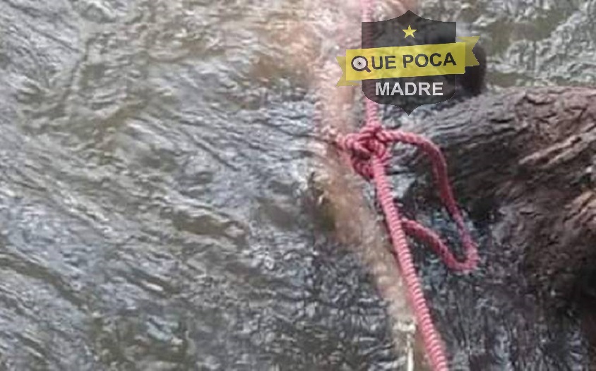 Encuentran el cadáver de una mujer en río de Hidalgo.