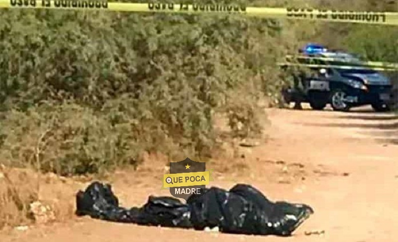 Localizan ejecutado dentro de bolsas de basura en San Luis Potosí.