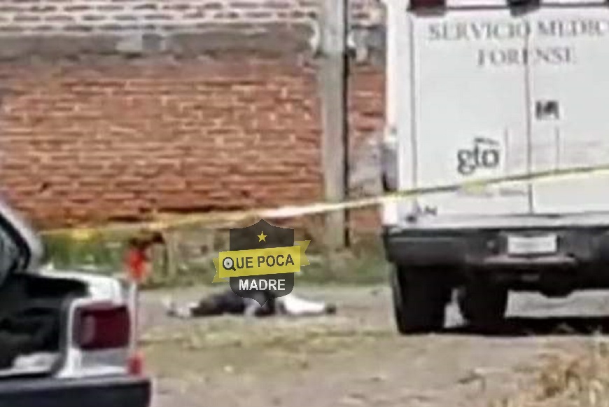 Asesinan a hombre afuera de estadio de béisbol en Guanajuato.