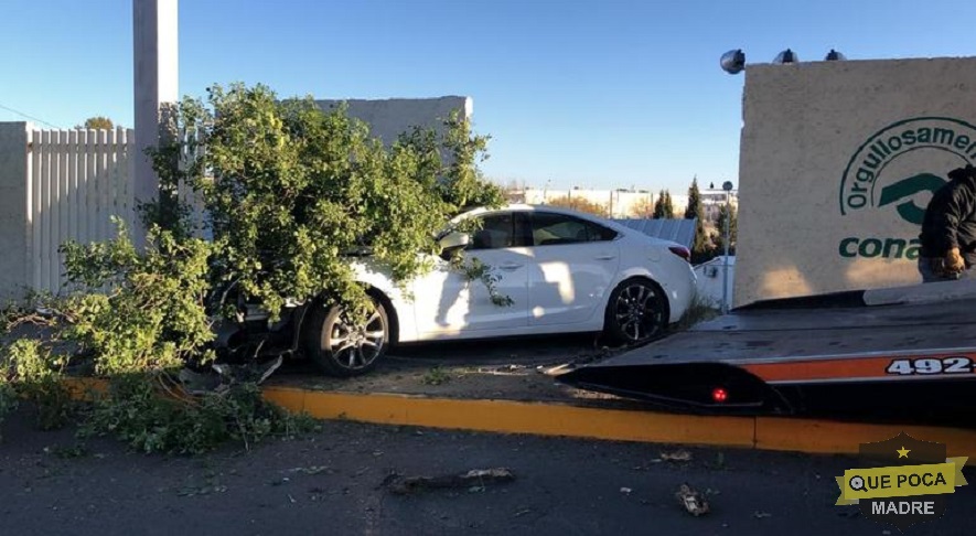 Automovilista choca contra barda y árbol en Chihuahua.