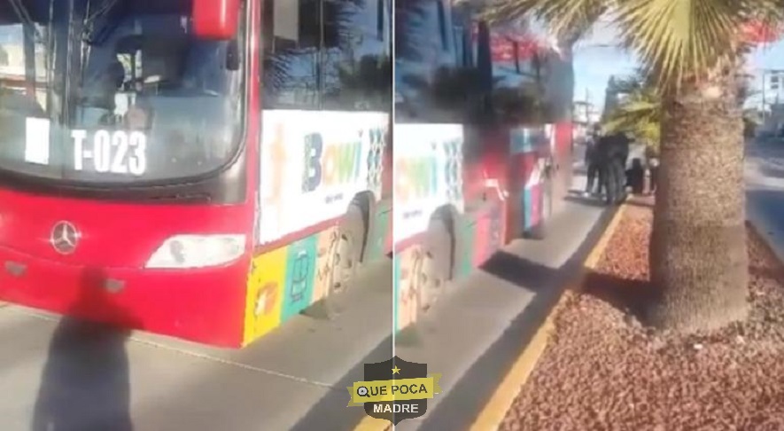 Camión de transporte publico atropella a mujer en Chihuahua.