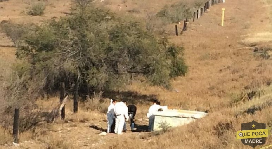 Localizan cuerpo desmembrado en Chihuahua.