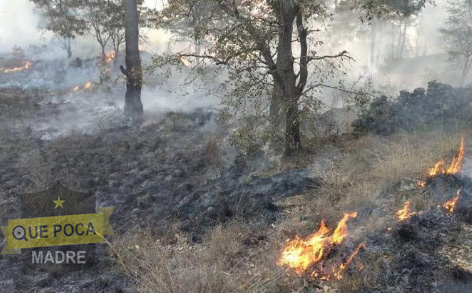 Incendio amenaza santuario de luciérnagas en Tlahuapan.