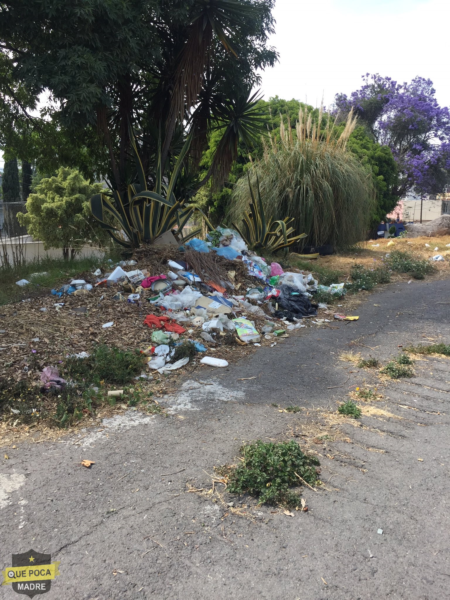 Denuncian basurero en Naucalpan.