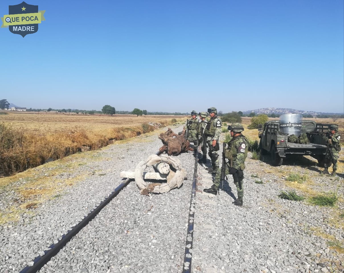 Frustran robo a tren en Tlaxcala.