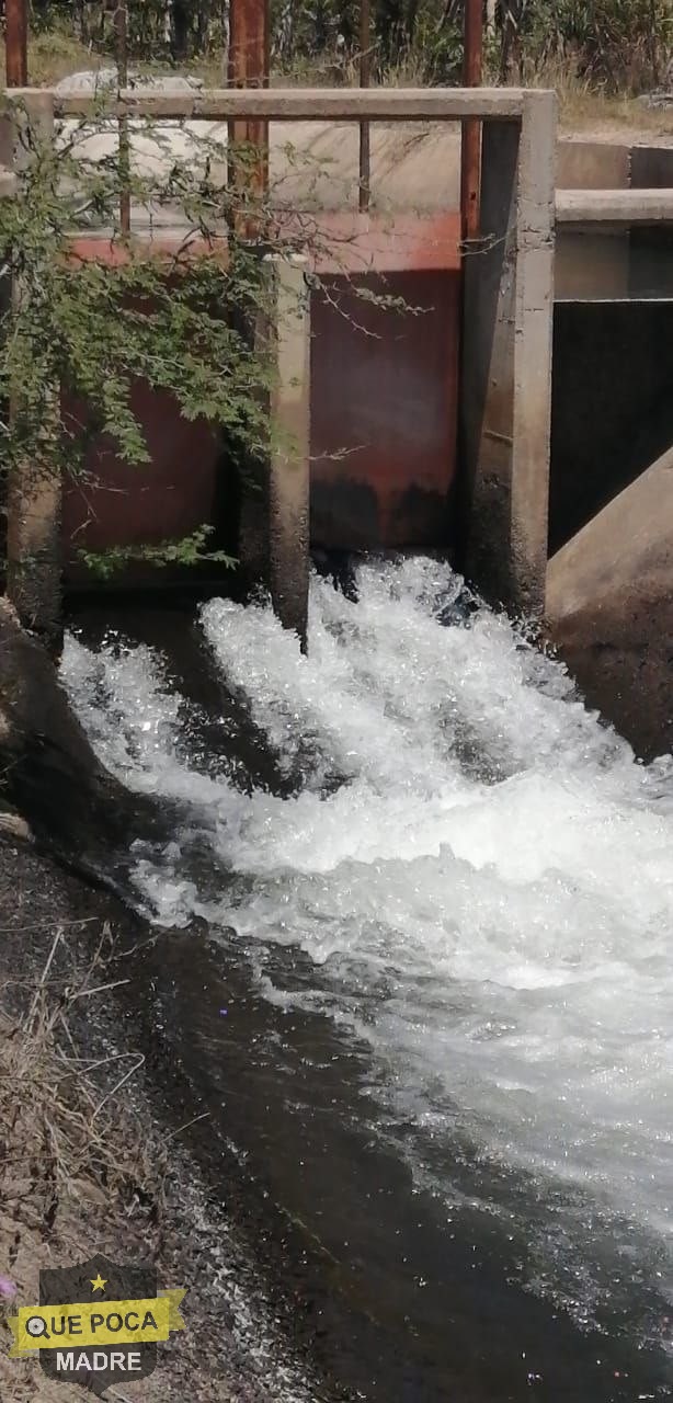 Localizan cadáver de un hombre en un canal de riego en Jalisco.