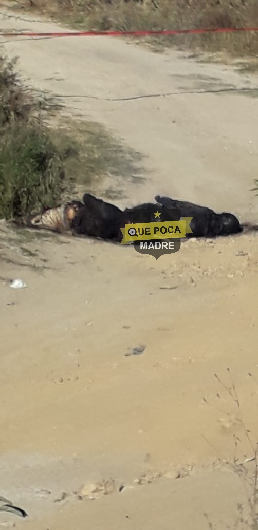 Encuentran dos cuerpos calcinados en Oaxaca.