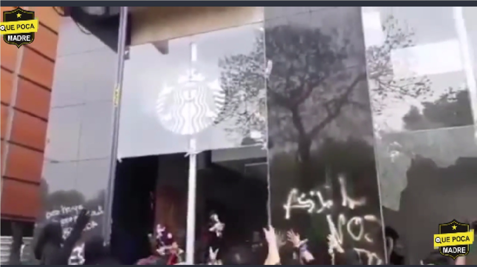 Video: Encapuchadas feministas ROMPEN VIDRIOS y SAQUEAN CAFETERÍA; se reparten la mercancía del local ubicado en Avenida Juárez.