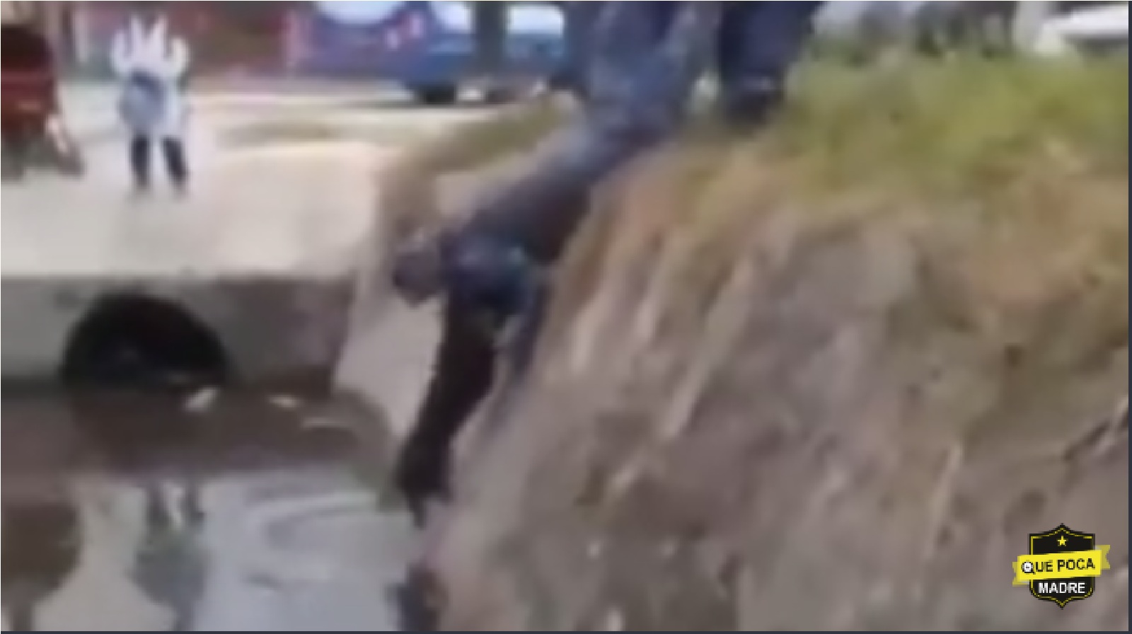 Video: Captan a policías salvando a un perro que había caído en un canal de aguas negras