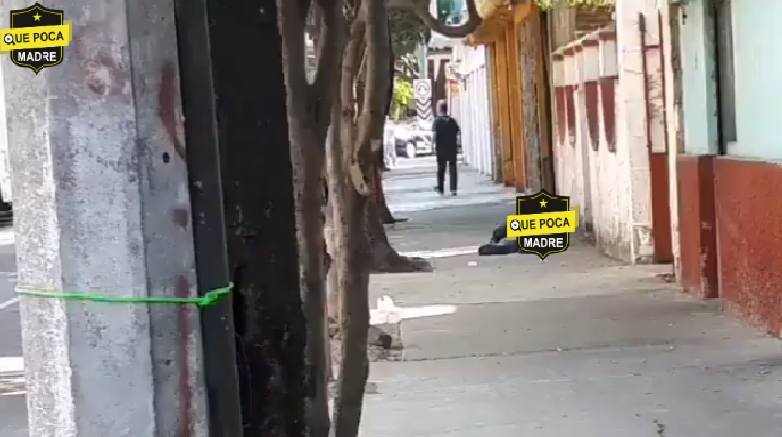 Video: Triple ASESINATO y un LESIONADO en la colonia Portales en CDMX