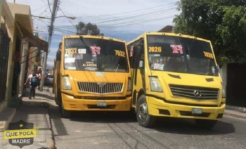 Chocan dos camiones de transporte público en San Luis Potosí.