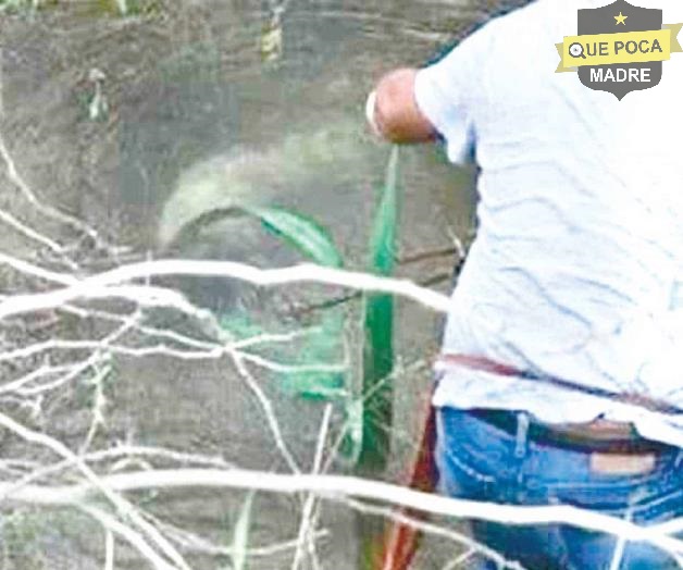 Rescatan cuerpo de mujer que murió ahogada en Tamaulipas.