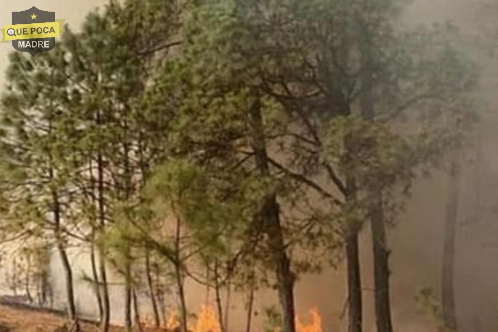 Incendio en Oaxaca deja nueve muertos.