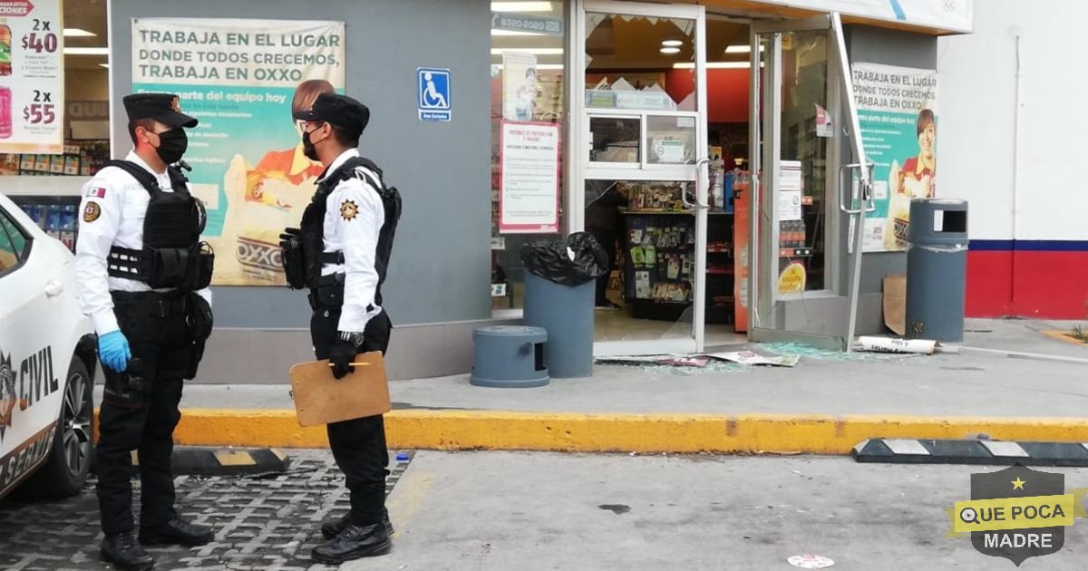 Delincuente entra a robar vinos a una tienda en Monterrey.