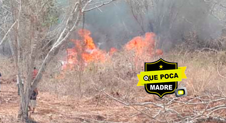 Continúan incendio forestales por la imprudencia de vecinos que preparan su campo para cultivar en Campeche.