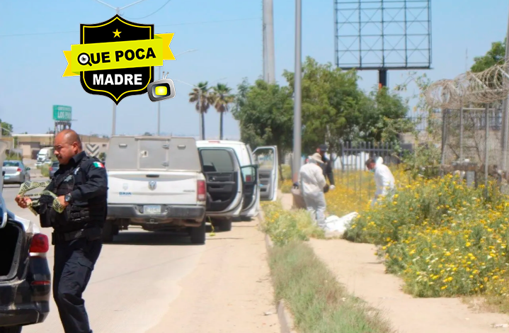 Encuentran cuerpo sin vida con impactos de bala en Baja California.