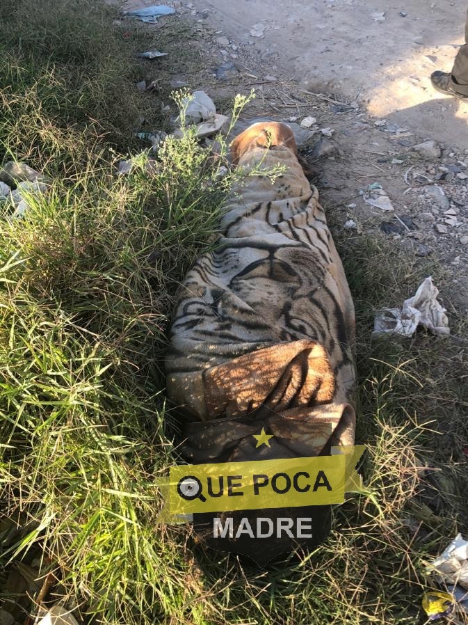 Encuentran cadáver encobijado en Jalisco.