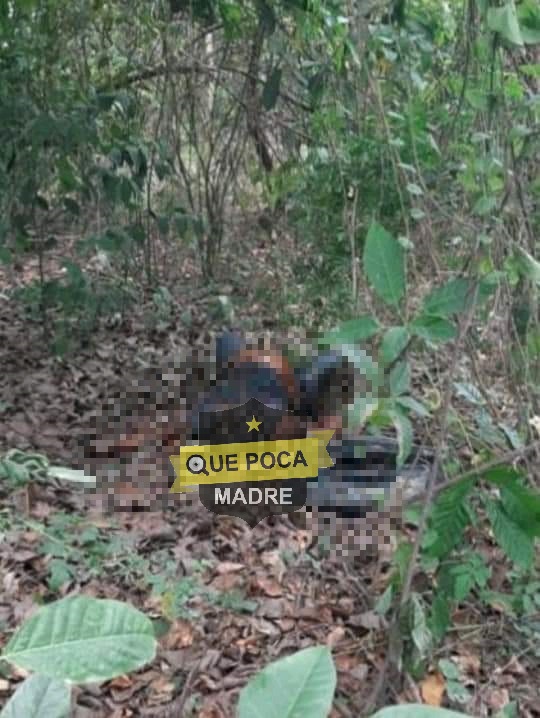 Encuentran el cadáver de una mujer en Oaxaca.