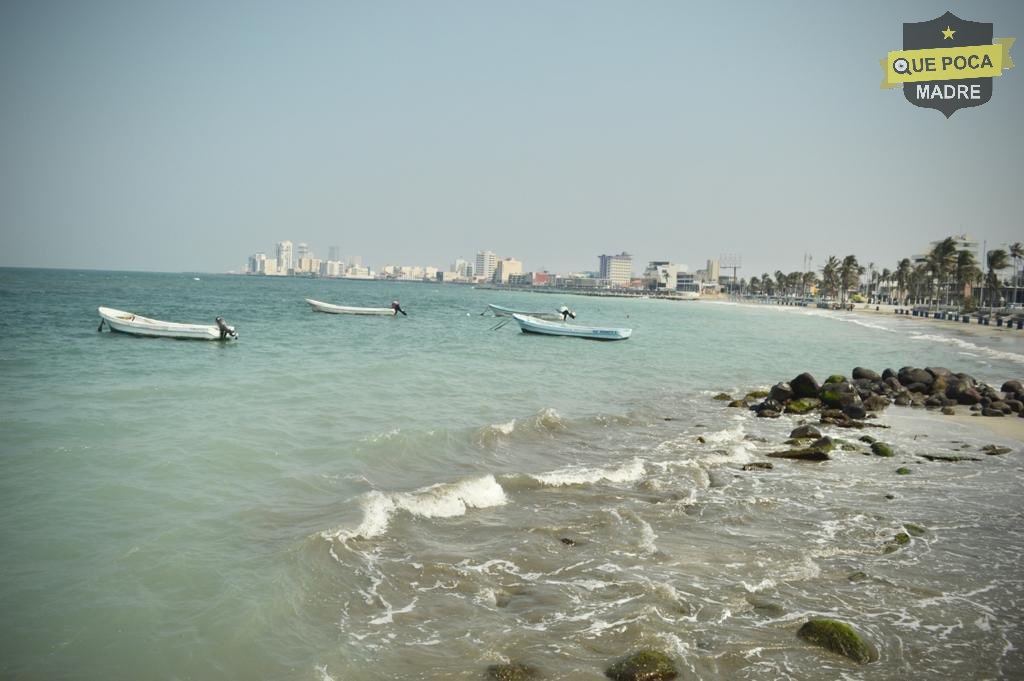 Playas de Veracruz lucen limpias ante ausencia de turistas.