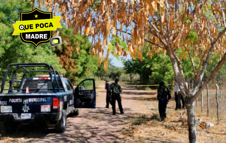 Encuentran cadáver putrefacto en Sinaloa.