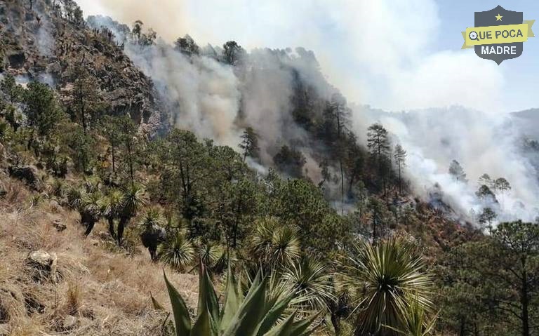 Incendio daña más de 100 hectáreas en Tlaxcala.