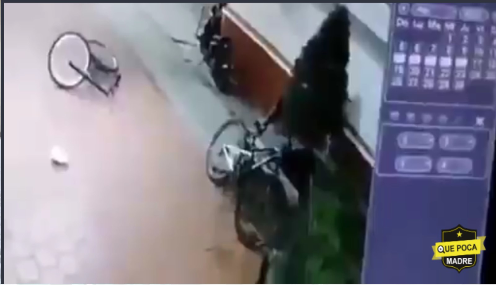 Video: Captan a tres RATAS en acción, se llevaron unas bicicletas en Tlatelolco