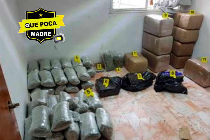 Cateo en casa de Querétaro logra el aseguramiento de 140 kilos de marihuana.