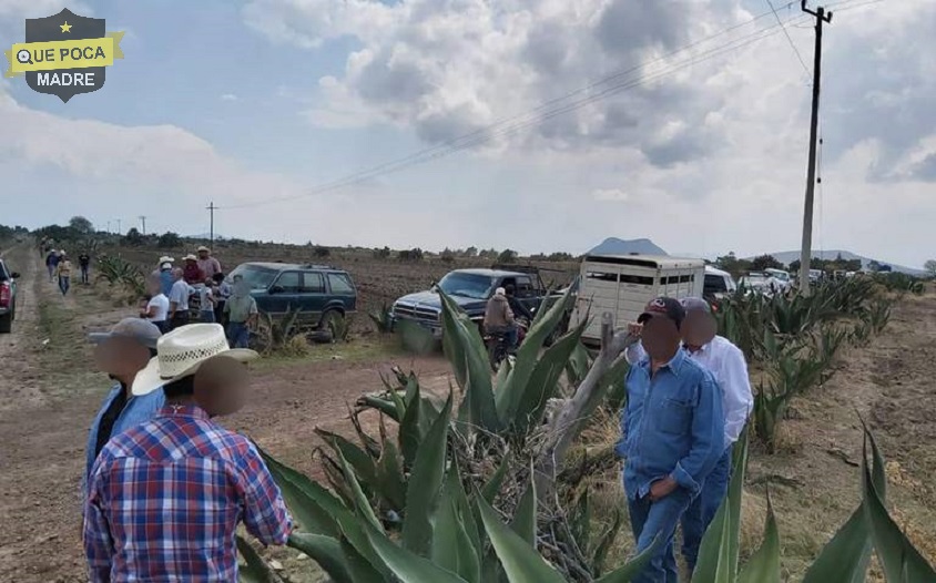 Cancelan carreras de caballos y peleas de gallos clandestinas en Hidalgo.