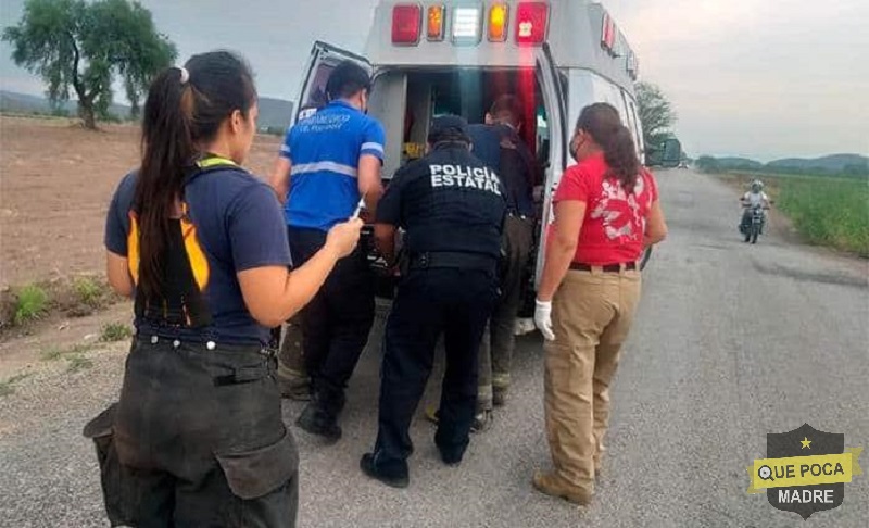 Enjambre de abejas ataca a mujer de la tercera edad en San Luis Potosí.