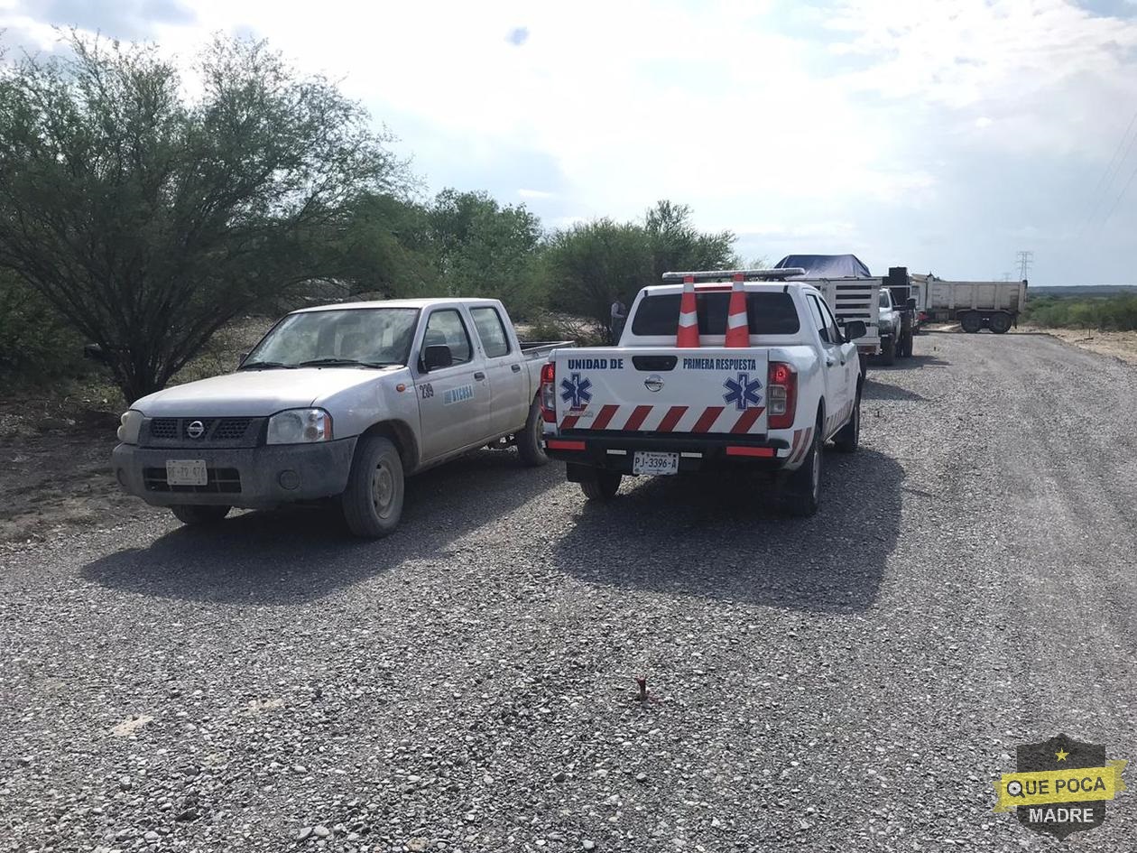 Muere hombre al ser atacado por abejas en Nuevo León.